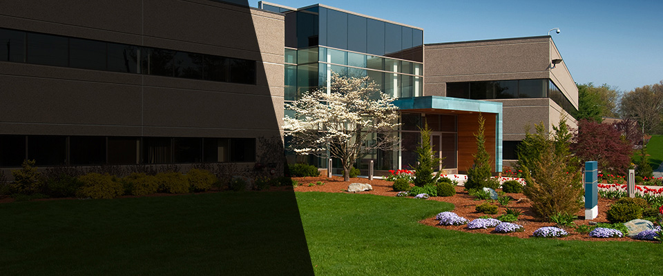 Tabor City Landscapers