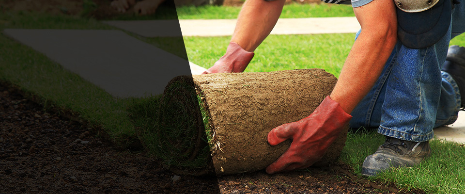 Tabor City Landscapers